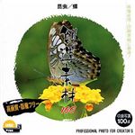 イメージランド 創造素材100 昆虫/蝶 Vol.1 935532