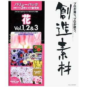 イメージランド 創造素材バリューパック 2 花