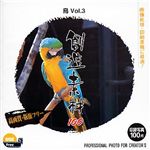 イメージランド 創造素材100 鳥 Vol.3