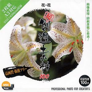 イメージランド 超 創造素材100 花・花 935560