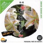 イメージランド 超 創造素材100 花・花 935560