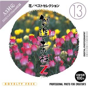 イメージランド 創造素材Z (13) 花/ベストセレクション 935580