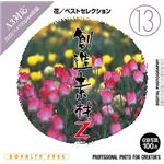 イメージランド 創造素材Z (13) 花/ベストセレクション 935580