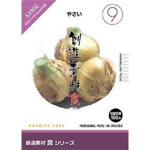 イメージランド 創造素材 食(9) やさい F009-0501