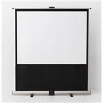 イズミ 100型RSシリーズスクリーン RS-100