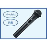 日本ビクター ワイヤレスマイクロホン(ボーカル用バンド型) WM-P902