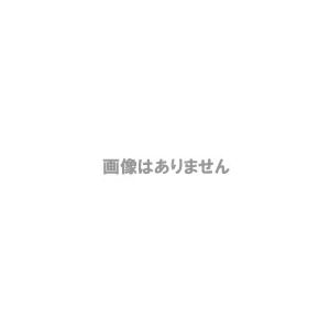 カシムラ アップダウントランス1500W TI-20 - 拡大画像
