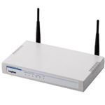 ロジテック 法人向け無線アクセスポイント LAN-W300AN/AP