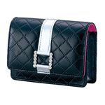 ロアス デジタルカメラケース ブラック DCC-045BK
