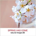 マイザ natural images Vol.86 SPRING HAS COME XAMMP0086