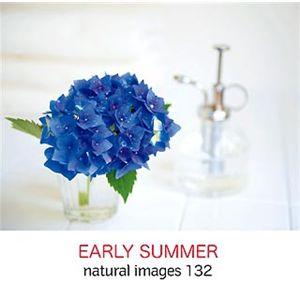 マイザ naturalimages Vol.132 EARLY SUMMER XAMMP0132