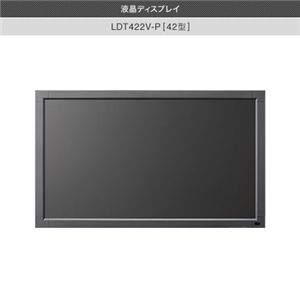 三菱電機 <VISEO Lite>42インチ ワイドTFTモニタ(1366x768/D-Sub15Pin/DVI/保護ガラス) LDT422V-P