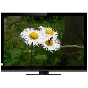 Mitsumaru Japan 24V型地上・BS・110度CS対応LED液晶テレビ LCT-2405W