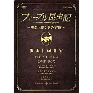 NHKエンタープライズ ファーブル昆虫記 ～南仏・愛しき小宇宙～ DVD-BOX 3枚組 TNA20