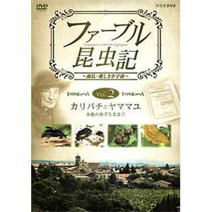 NHKエンタープライズ ファーブル昆虫記 カリバチとヤママユ 本能の命ずるままに TNA22