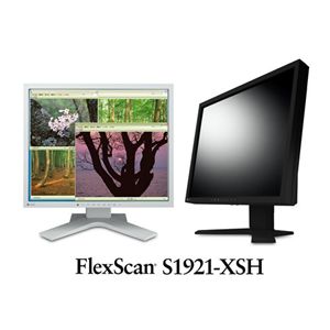 【訳あり・在庫処分】ナナオ ＜FlexScan＞19インチ TFTモニタ(1280x1024/D-Sub15Pin/DVI-24Pin/スピーカー/セレーングレイ) S1921-XSHGY - 拡大画像