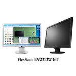 ナナオ <FlexScan>23.0インチTFTモニタ(1920x1080/DVI-D24ピンx1、D-Sub15ピンx1、DisplayPortx1、ブラック) EV2313W-BTBK