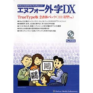 エヌフォー エヌフォー外字DX TrueType版 2書体パック