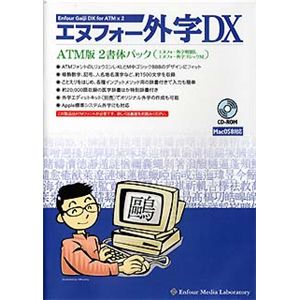 エヌフォー エヌフォー外字DX ATM版 2書体パック