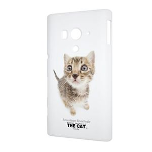 Qual Sony Acro HD The cat Amercian Shorthair PIP4PC000C000