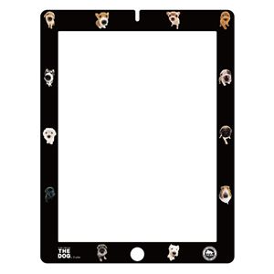 Qual Ipad2 protector Film Black PID0PFS01RBB0