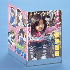 サンワサプライ DVDスリムトールケースカード(半光沢・外装用) JP-DVD10