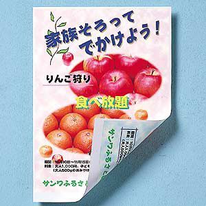 サンワサプライ インクジェット用両面印刷紙/厚手(大容量) JP-RV100AG