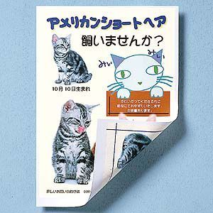 サンワサプライ インクジェット用両面印刷紙 JP-50RVA