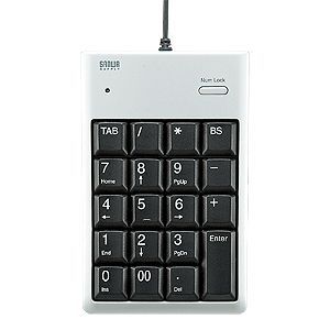 サンワサプライ USBテンキー シルバー NT-16USV