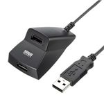 サンワサプライ 手元延長用2ポートUSB2.0ハブ(ブラック) USB-HEX206BK