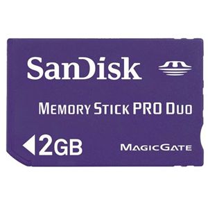 サンディスク MemoryStick Pro Duo 2GB SDMSPD-2048-J95