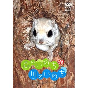 シンフォレスト 森のいのち・川のいのち SAVE THE FOREST SDA83