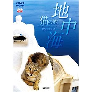 シンフォレスト 地中海・猫の旅6500キロ 【2枚組】CATS OF THE MEDITERRANEAN SEA SDA81