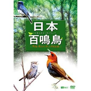 シンフォレスト 日本百鳴鳥 映像と鳴き声で愉しむ野鳥図鑑 SDA84