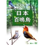 シンフォレスト 日本百鳴鳥 映像と鳴き声で愉しむ野鳥図鑑 SDA84