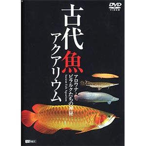 シンフォレスト 古代魚アクアリウム ～アロワナ・ピラルクたちの神秘～ SDA39