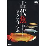 シンフォレスト 古代魚アクアリウム ～アロワナ・ピラルクたちの神秘～ SDA39