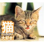 シンフォレスト 猫、大好き! Cats、Be Happy! SDA04