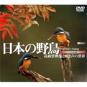 シンフォレスト 日本の野鳥 ～高画質映像と鳴き声の世界～ SDA08