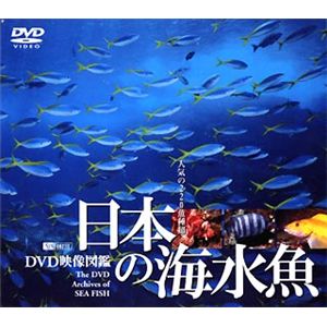 シンフォレスト 日本の海水魚 DVD映像図鑑 SDA26