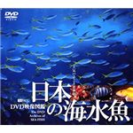 シンフォレスト 日本の海水魚 DVD映像図鑑 SDA26