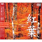 シンフォレスト 紅葉・もみじ SDA37