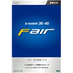 日本通信 bモバイル 3G・4G フェア1GB 有効期間120日<標準SIM> BM-FRL-1GB