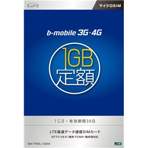 日本通信 bモバイル 3G・4G 1GB定額 有効期間30日<マイクロSIM> BM-FRML-1GBM