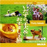 マイザ MIXA IMAGE LIBRARY Vol.69 いたずら子犬&おすまし子猫 XAMIL3069