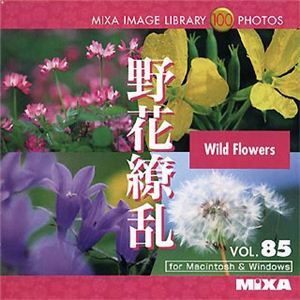 マイザ MIXA IMAGE LIBRARY Vol.85 野花繚乱 XAMIL3085