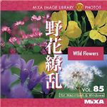 マイザ MIXA IMAGE LIBRARY Vol.85 野花繚乱 XAMIL3085