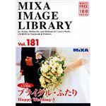 マイザ MIXA IMAGE LIBRARY Vol.181 ブライダル・ふたり XAMIL3181