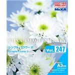 マイザ MIXA IMAGE LIBRARY Vol.247 シンプル・フラワー2 XAMIL3247