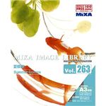 マイザ MIXA IMAGE LIBRARY Vol.263 夏模様 XAMIL3263